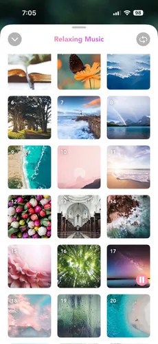 Relaxing music and nature scenes grid