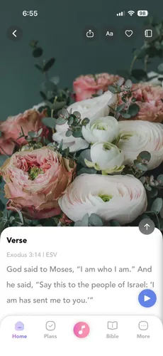 Verse of the Day over pink roses
